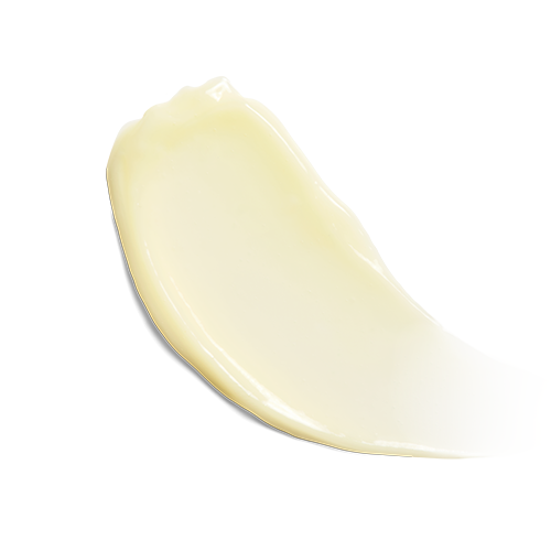 ZO - Wrinkle + Texture Repair Serum - Image 2