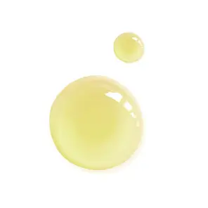 Epicutis Oil Cleanser - Image 2